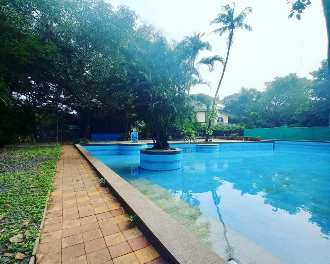 Piggy Calangute By Urban Nomads - Dorms & Pvt Rooms Exterior foto